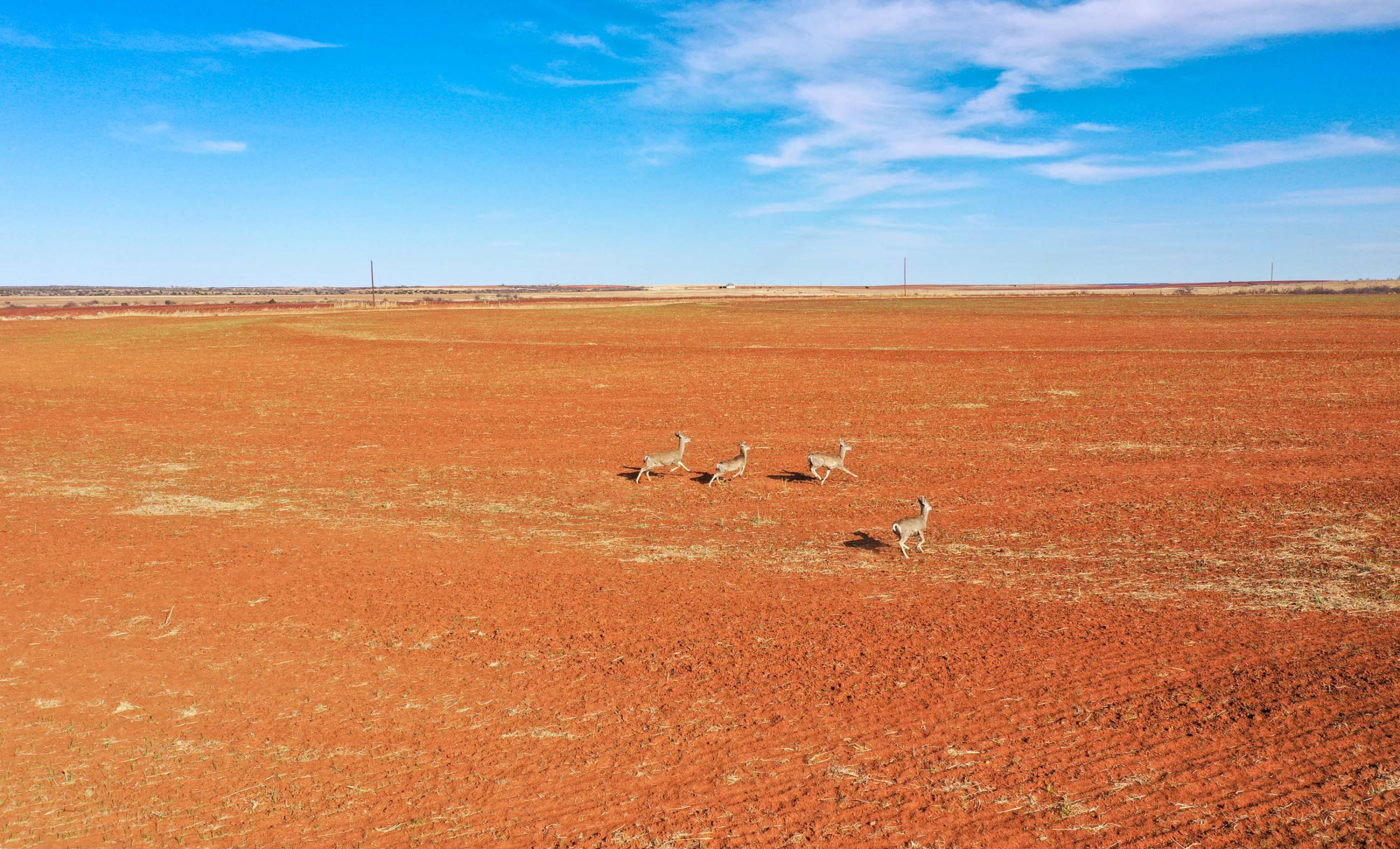KR CeeVee Ranch Chas S. Middleton